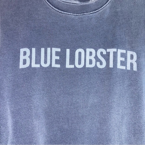 Blue Lobster Women’s XS Extra Small Sweatshirt Blue Logo - Picture 4 of 7